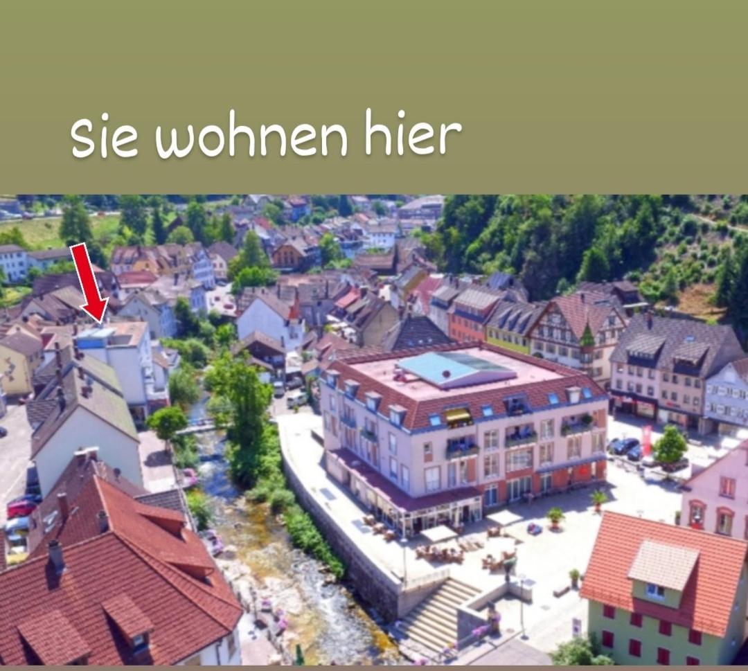 Ferienwohnung Ida Hornberg Extérieur photo
