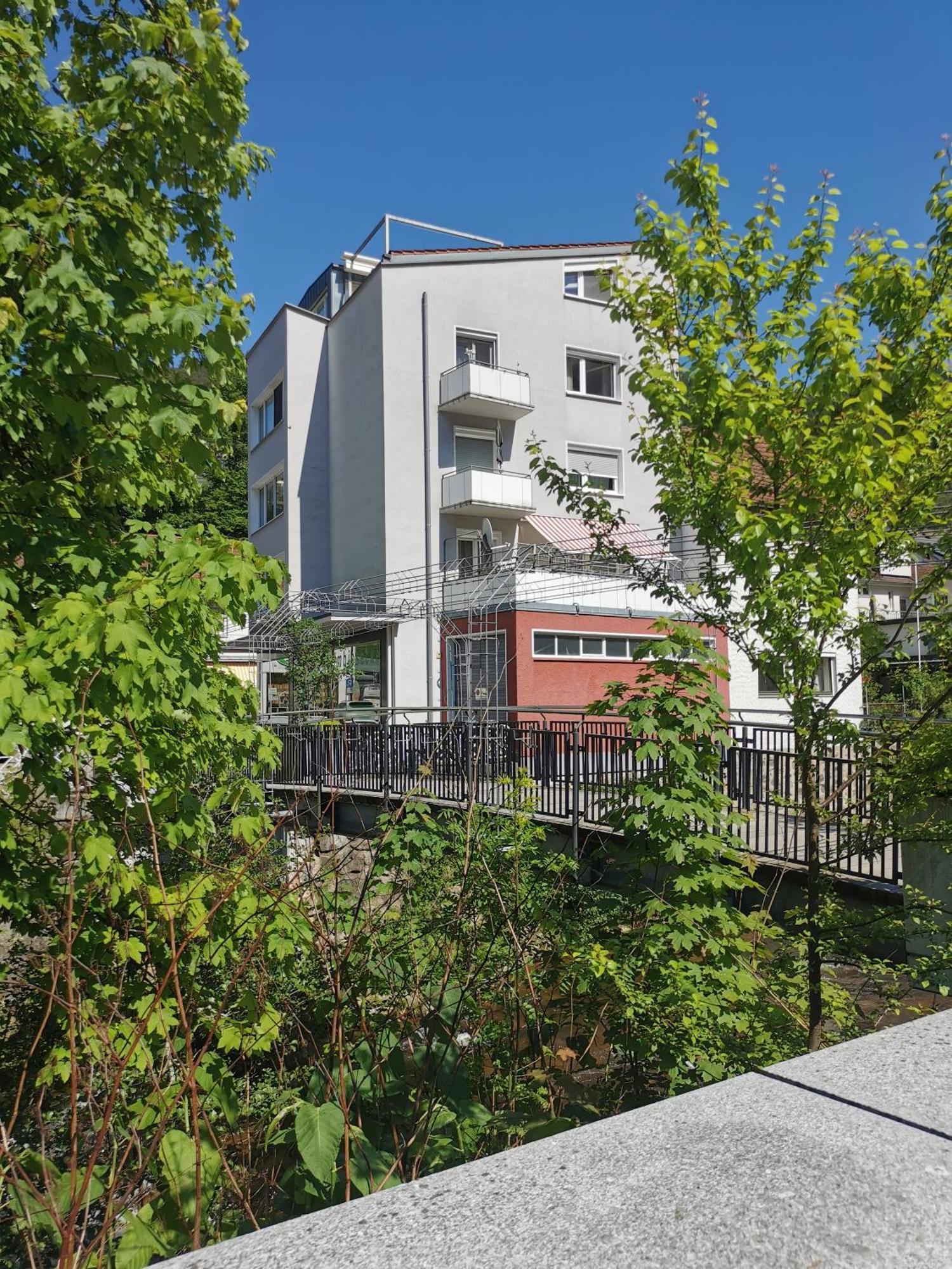 Ferienwohnung Ida Hornberg Extérieur photo